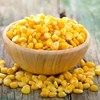 high quality canned corn