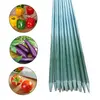 /product-detail/fiberglass-plant-support-stick-for-tomato-tree-grape-nursery-garden-farm-62079060025.html