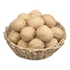 Chinese xinjiang dry fruit walnut inshell of price preferential benefit can do walnut and red date