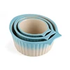 Made in China hand-painted marine series ceramic cake pan, porcelain cake pan, baking tray