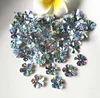 Free sample Evening dress, shoe ,cap, bag and mobile phone shell use flower sequins