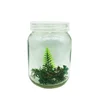 Wholesale 480ml clear glass tissue culture bottle with plastic cap