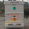 2019 MF China Supplier Factory price plastic beehive frame plastic bee hive