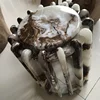 2018 Translucent alabaster sheets acrylic resin faux alabaster for Reception desk
