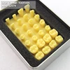 ENOVO/ Dental- Tooth body,easy carry box, Human Oral Dental Medical Teaching Anatomical Model, 12574