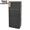 TKG DS-215 15 inch 800 watt performance stage 2-way full range dual 15'' speaker professional audio 15 inch full range speaker