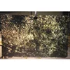 Engineered Acrylic Solid Surface Artificial Panel for Interior Design Walling Lighting alabaster Slabs