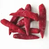 Chinese Hot Pepper Frozen Jinta Variety IQF Chilli