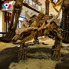 Prehistoric Fiberglass Animal dinosaurs skeleton