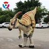 China custom costume dinosaur for sale