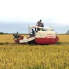 HST gearbox rice wheat soybean combine harvester in Egypt