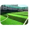 SGS test & cheap price&Chinese Manufacturer &ten cate thiolon&50mm &synthetic artificial grass for football field.WFBSI-N