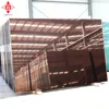 Building Glass Windows 5mm Solar Control Reflective Glass Price