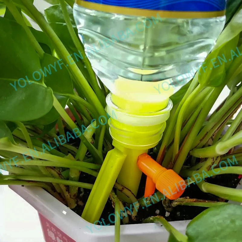 Auto Plant Water Feeder Aqua Balls Watering Globes Indoor Outdoor