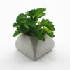 CYSHMILY Pine needles Milan grass succulents Mini simulation plants potted artificial flowers Cactus meaty bonsai ornaments