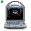 Best quality cheap doppler ultrasound scanner laptop veterinary equipment