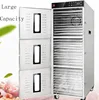 celery leaf and red onion cardamom pumpkin chips 30 trays dehydrator