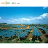 Flat Single Axis Solar Tracker Eneryg System