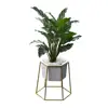 Wrought Iron Bowl Fleshy Flower Stand Ceramic +Hanging Plant Pot Ceramic Outdoor Round Flower Pot Single Layer Hanging Basket
