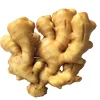 chinese ginger range from 100g to 250g up fresh ginger for sale