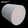 Exhaust silicon carbon diesel particulate filter DPF