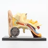 GelsonLab HSBM-205 14parts 7.7cm Human ear anatomy mode plastic ear model DIY ear model toys