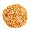types fish foods meal feed edible insects shrimp