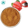 Factory price organic caffeine powder guarana seed extract