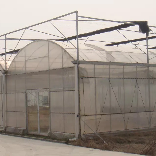 
large size multi-span arch plastic film Greenhouse tomato greenhouse and strawberry greenhouse turnkey project 