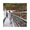 cheap second hand layer poultry cages