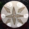 wholesale natural rock fengshui stone large seashells disc fossil