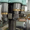 Automatic glass bottle crown caps capping machine / beer bottle cap sealing machine