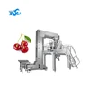 Marchi cherry counting and packaging into tray automatic packaging machine