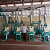 12-30TPD maize plant processing grinding mill flour maize milling business plan
