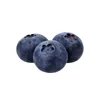 100% natural organic best iqf blueberry