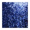 Large quantities of custom-made double blue navi blue lace sequin stretch fabric
