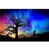 5d Diy Diamond Painting Kit Moonlight Night Scene Girl Owl Landscape Diamond Embroidery Full Square Round Rhinestones Embroidery