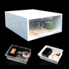 New open hole breathable plastic turtle reptile breeding box