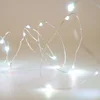 Christmas Custom Decoration LED Copper Wire Fairy String Light