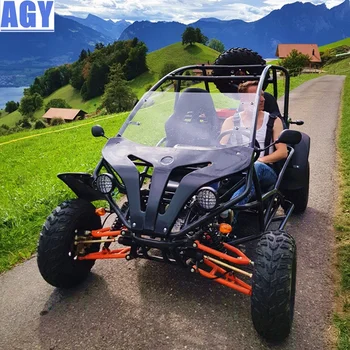 2 seater off road buggy