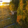 Professional landscape design programs near me good price
