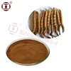 cordyceps sinensis mycelium extract passed GMP HACCP QS ISO9001 certification