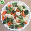 IQF Export wholesale bulk frozen oriental mixed vegetables of types