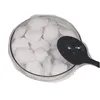 phthalic anhydride flakes