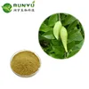 Free Samples treat diabetes CAS 90045-47-9 Natural plant Gymnema sylvestre leaf extract powder 25% Gymnemic acid