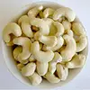 VIET NAM CASHEW NUTS SIZE WW 450 GOOD QUALITY ASSURED BY VINACONTROL INSPECTION