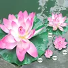 Artificial flowers 13 lotus Simulation