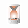 Gift for Children/Friends/Christmas Smart Dimmable Mini Bluetooth Light Speaker