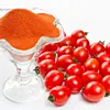 100% Pure Natural Spray Dried Fruit And Vegetable Tomato Powder