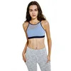 Women's OEM Extreme Control Push Up Doule Straps Custom Athletic Gym Mesh Yoga bra